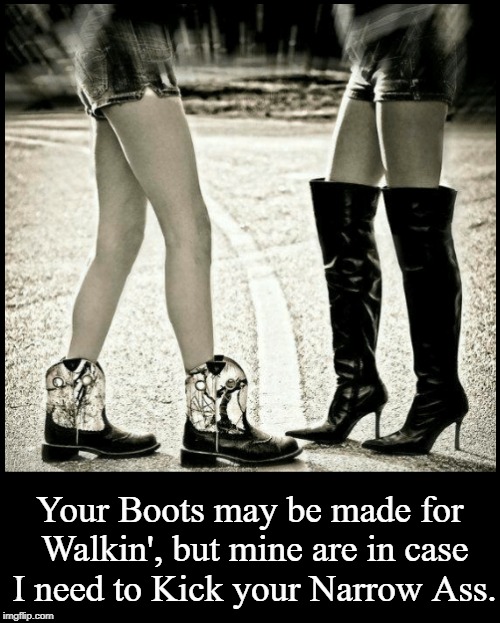 Things in the 60s Nancy Sinatra Never Mentioned | Your Boots may be made for Walkin', but mine are in case I need to Kick your Narrow Ass. | image tagged in vince vance,nancy sinatra,these boots are made for walkin',cowboy boots,thigh high boots,come on boots start walkin' | made w/ Imgflip meme maker
