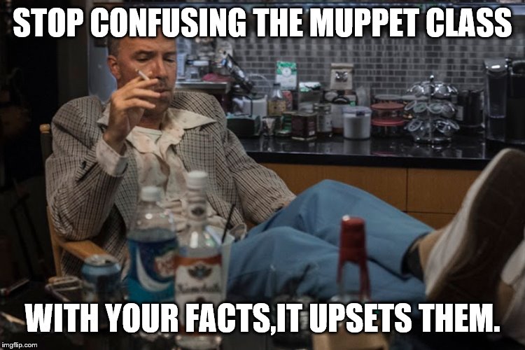 STOP CONFUSING THE MUPPET CLASS WITH YOUR FACTS,IT UPSETS THEM. | made w/ Imgflip meme maker
