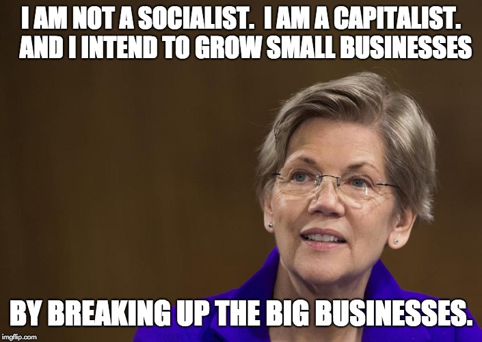 Elizabeth Warren | I AM NOT A SOCIALIST.  I AM A CAPITALIST.  AND I INTEND TO GROW SMALL BUSINESSES; BY BREAKING UP THE BIG BUSINESSES. | image tagged in elizabeth warren | made w/ Imgflip meme maker
