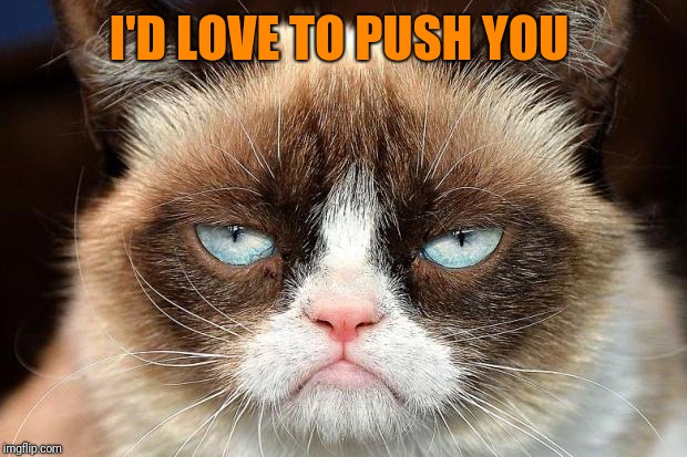 Grumpy Cat Not Amused Meme | I'D LOVE TO PUSH YOU | image tagged in memes,grumpy cat not amused,grumpy cat | made w/ Imgflip meme maker