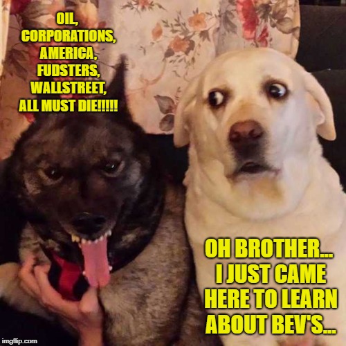 worried at evil dog | OIL, CORPORATIONS, AMERICA, FUDSTERS, WALLSTREET, ALL MUST DIE!!!!! OH BROTHER... I JUST CAME HERE TO LEARN ABOUT BEV'S... | image tagged in worried at evil dog | made w/ Imgflip meme maker