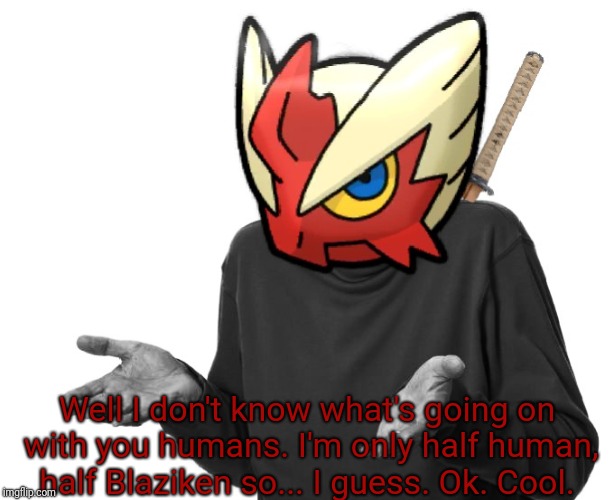 I guess I'll (Blaze the Blaziken) | Well I don't know what's going on with you humans. I'm only half human, half Blaziken so... I guess. Ok. Cool. | image tagged in i guess i'll blaze the blaziken | made w/ Imgflip meme maker