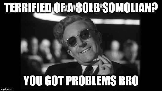 dr strangelove | TERRIFIED OF A 80LB SOMOLIAN? YOU GOT PROBLEMS BRO | image tagged in dr strangelove | made w/ Imgflip meme maker