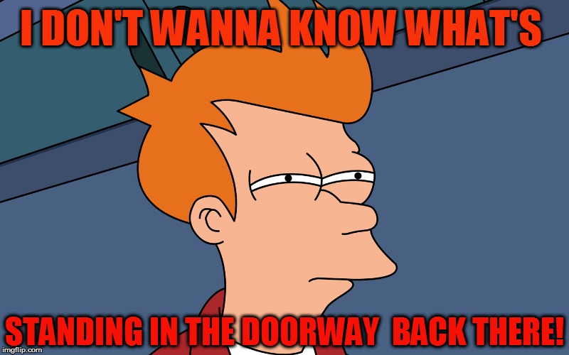 I DON'T WANNA KNOW WHAT'S STANDING IN THE DOORWAY  BACK THERE! | made w/ Imgflip meme maker