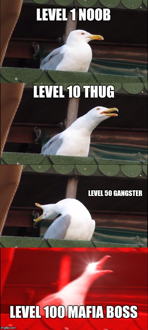 Inhaling Seagull | LEVEL 1 NOOB; LEVEL 10 THUG; LEVEL 50 GANGSTER; LEVEL 100 MAFIA BOSS | image tagged in memes,inhaling seagull | made w/ Imgflip meme maker