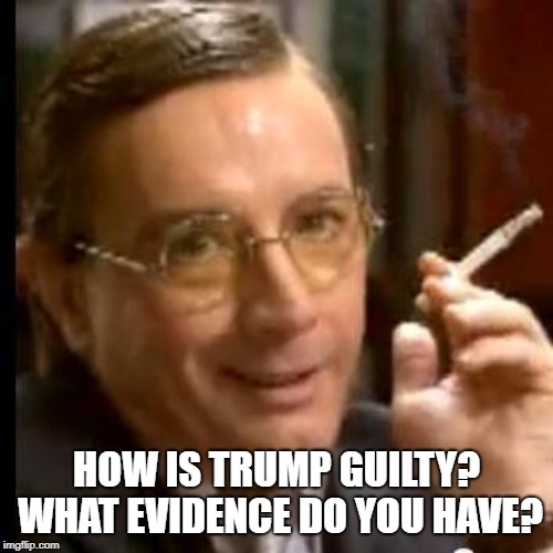 HOW IS TRUMP GUILTY? WHAT EVIDENCE DO YOU HAVE? | image tagged in donald trump | made w/ Imgflip meme maker