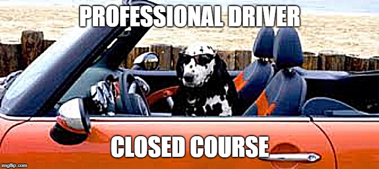 Leave it to the professionals. (Doggo Week March 10-16 a Blaze_the_Blaziken and 1forpeace Event) | PROFESSIONAL DRIVER; CLOSED COURSE | image tagged in meme,funny,doggo week,dogs,cars | made w/ Imgflip meme maker