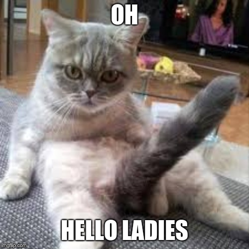 OH; HELLO LADIES | image tagged in hey girl | made w/ Imgflip meme maker