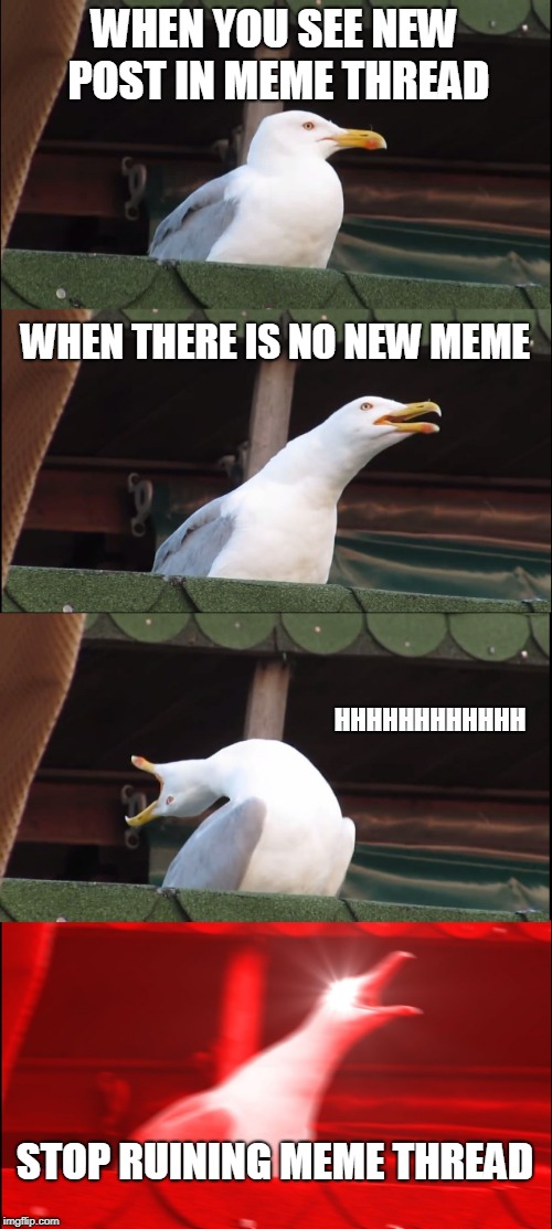 Inhaling Seagull Meme | WHEN YOU SEE NEW POST IN MEME THREAD; WHEN THERE IS NO NEW MEME; HHHHHHHHHHHH; STOP RUINING MEME THREAD | image tagged in memes,inhaling seagull | made w/ Imgflip meme maker