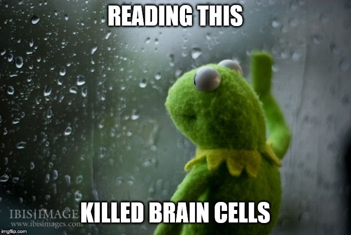 kermit window | READING THIS KILLED BRAIN CELLS | image tagged in kermit window | made w/ Imgflip meme maker