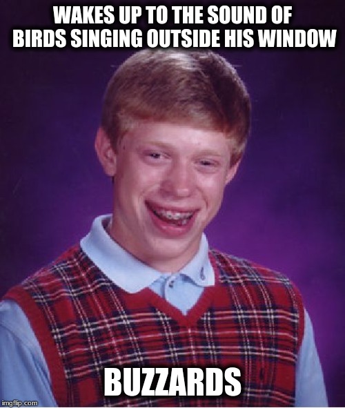 Bad Luck Brian | WAKES UP TO THE SOUND OF BIRDS SINGING OUTSIDE HIS WINDOW; BUZZARDS | image tagged in memes,bad luck brian | made w/ Imgflip meme maker