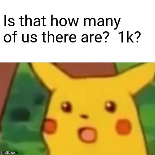 Surprised Pikachu Meme | Is that how many of us there are?  1k? | image tagged in memes,surprised pikachu | made w/ Imgflip meme maker
