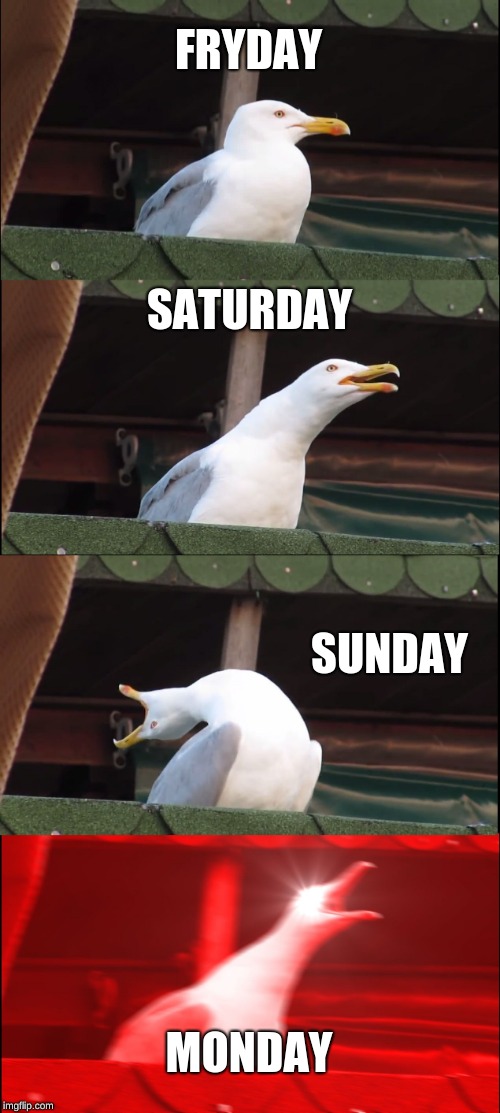 Inhaling Seagull | FRYDAY; SATURDAY; SUNDAY; MONDAY | image tagged in memes,inhaling seagull | made w/ Imgflip meme maker