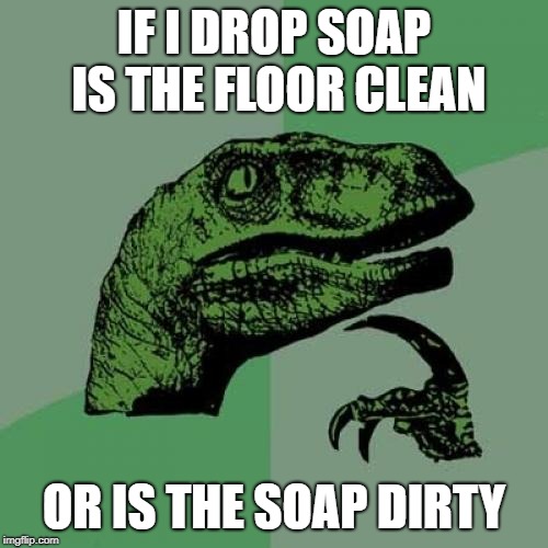 Philosoraptor | IF I DROP SOAP IS THE FLOOR CLEAN; OR IS THE SOAP DIRTY | image tagged in memes,philosoraptor | made w/ Imgflip meme maker