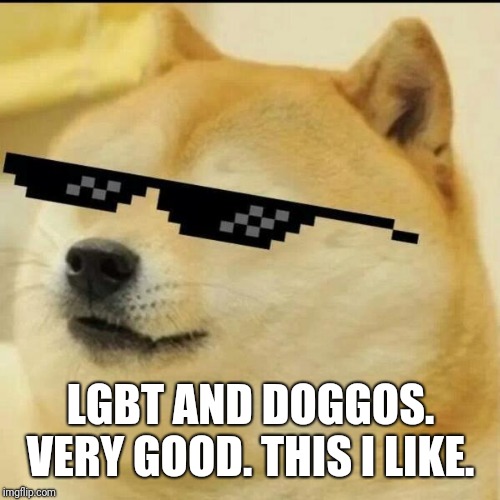Sunglass Doge | LGBT AND DOGGOS. VERY GOOD. THIS I LIKE. | image tagged in sunglass doge | made w/ Imgflip meme maker