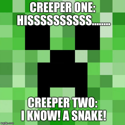 Scumbag Minecraft Meme | CREEPER ONE: HISSSSSSSSSS........ CREEPER TWO: I KNOW! A SNAKE! | image tagged in memes,scumbag minecraft | made w/ Imgflip meme maker