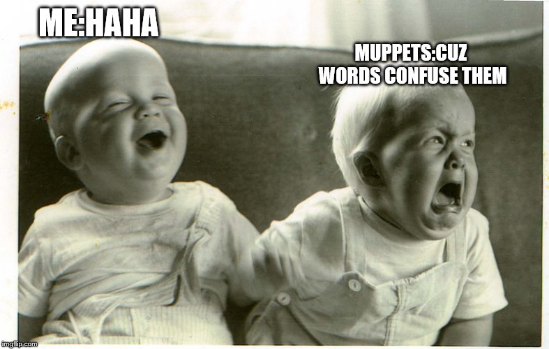  baby laughing baby crying | ME:HAHA MUPPETS:CUZ WORDS CONFUSE THEM | image tagged in baby laughing baby crying | made w/ Imgflip meme maker