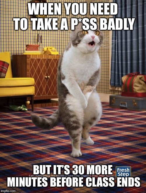 Gotta Go Cat Meme | WHEN YOU NEED TO TAKE A P*SS BADLY; BUT IT’S 30 MORE MINUTES BEFORE CLASS ENDS | image tagged in memes,gotta go cat | made w/ Imgflip meme maker