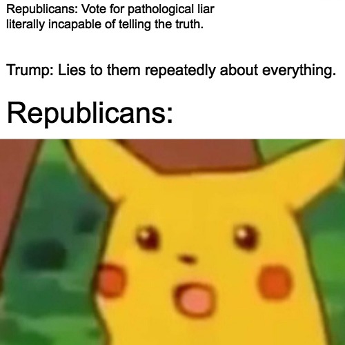Surprised Pikachu Meme | Republicans: Vote for pathological liar literally incapable of telling the truth. Trump: Lies to them repeatedly about everything. Republicans: | image tagged in memes,surprised pikachu | made w/ Imgflip meme maker