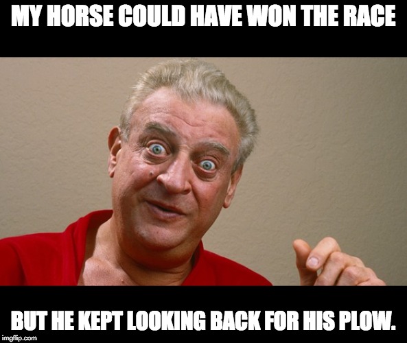 Rodney Dangerfield | MY HORSE COULD HAVE WON THE RACE; BUT HE KEPT LOOKING BACK FOR HIS PLOW. | image tagged in rodney dangerfield | made w/ Imgflip meme maker