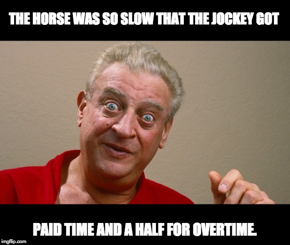 Rodney Dangerfield | THE HORSE WAS SO SLOW THAT THE JOCKEY GOT; PAID TIME AND A HALF FOR OVERTIME. | image tagged in rodney dangerfield | made w/ Imgflip meme maker