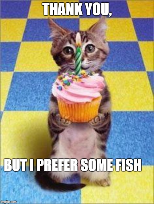 Happy Birthday Cat | THANK YOU, BUT I PREFER SOME FISH | image tagged in happy birthday cat | made w/ Imgflip meme maker