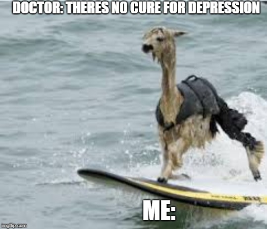 DOCTOR: THERES NO CURE FOR DEPRESSION; ME: | image tagged in funny memes,alpaca,surfing | made w/ Imgflip meme maker