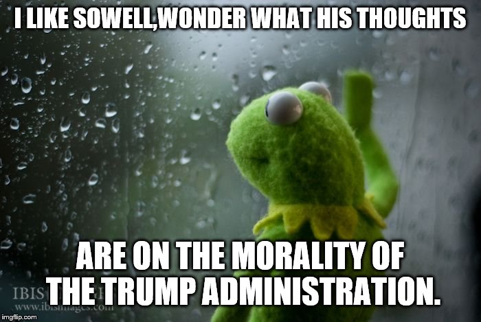 kermit window | I LIKE SOWELL,WONDER WHAT HIS THOUGHTS ARE ON THE MORALITY OF THE TRUMP ADMINISTRATION. | image tagged in kermit window | made w/ Imgflip meme maker
