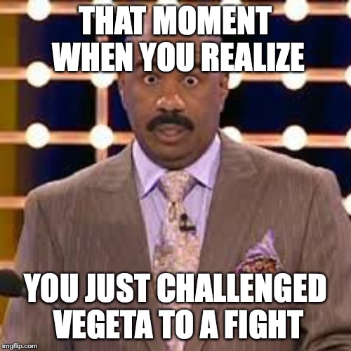 Steve Harvey cross-eyed | THAT MOMENT WHEN YOU REALIZE; YOU JUST CHALLENGED VEGETA TO A FIGHT | image tagged in steve harvey cross-eyed | made w/ Imgflip meme maker