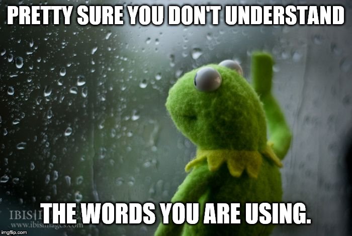 kermit window | PRETTY SURE YOU DON'T UNDERSTAND THE WORDS YOU ARE USING. | image tagged in kermit window | made w/ Imgflip meme maker