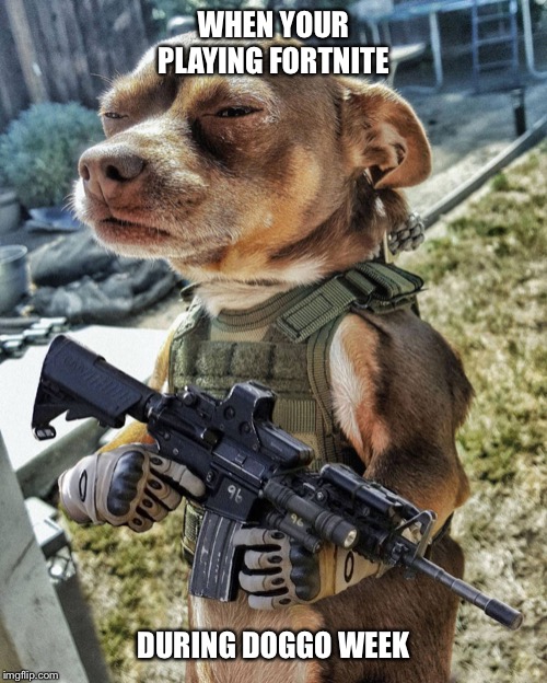 D-day Doggo | WHEN YOUR PLAYING FORTNITE; DURING DOGGO WEEK | image tagged in d-day doggo | made w/ Imgflip meme maker