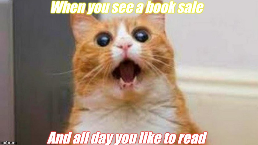 Have A Cat Meme! | When you see a book sale; And all day you like to read | image tagged in have a cat meme | made w/ Imgflip meme maker