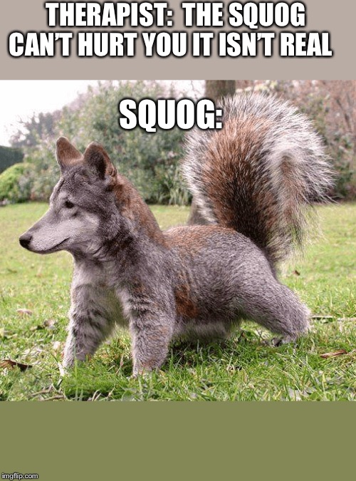 The squog | THERAPIST:  THE SQUOG CAN’T HURT YOU IT ISN’T REAL; SQUOG: | image tagged in doggo week | made w/ Imgflip meme maker