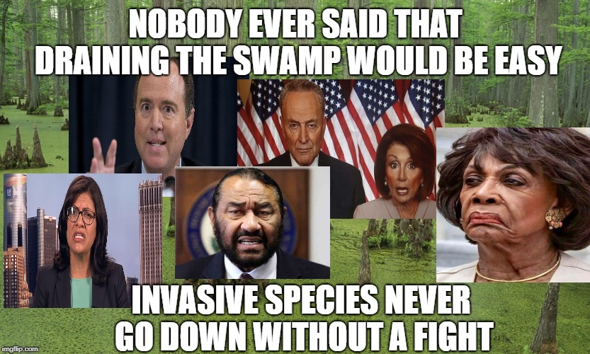 NOBODY EVER SAID THAT DRAINING THE SWAMP WOULD BE EASY; INVASIVE SPECIES NEVER GO DOWN WITHOUT A FIGHT | image tagged in drain the swamp,democrats,maxine waters,adam schiff,nancy pelosi,chuck schumer | made w/ Imgflip meme maker