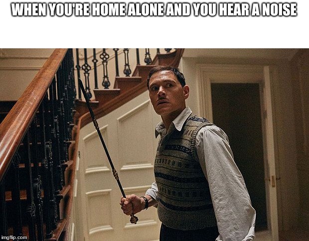 It happens | WHEN YOU'RE HOME ALONE AND YOU HEAR A NOISE | image tagged in relatable,funny | made w/ Imgflip meme maker