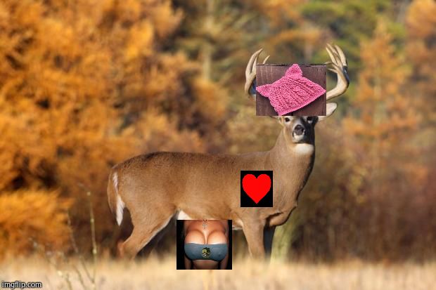 whitetail deer | image tagged in whitetail deer | made w/ Imgflip meme maker