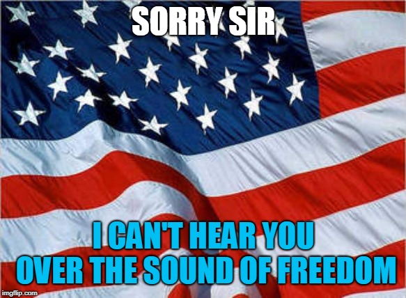 USA Flag | SORRY SIR I CAN'T HEAR YOU OVER THE SOUND OF FREEDOM | image tagged in usa flag | made w/ Imgflip meme maker