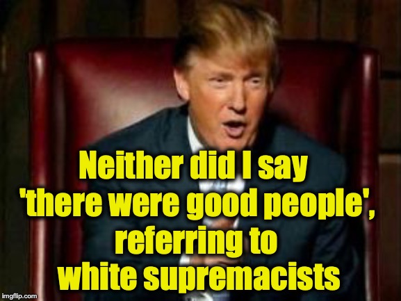 Donald Trump | Neither did I say referring to white supremacists 'there were good people', | image tagged in donald trump | made w/ Imgflip meme maker