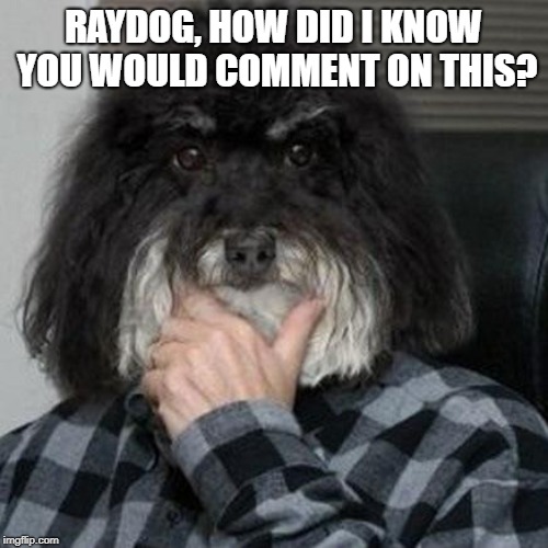 Thinking Dog | RAYDOG, HOW DID I KNOW YOU WOULD COMMENT ON THIS? | image tagged in thinking dog | made w/ Imgflip meme maker