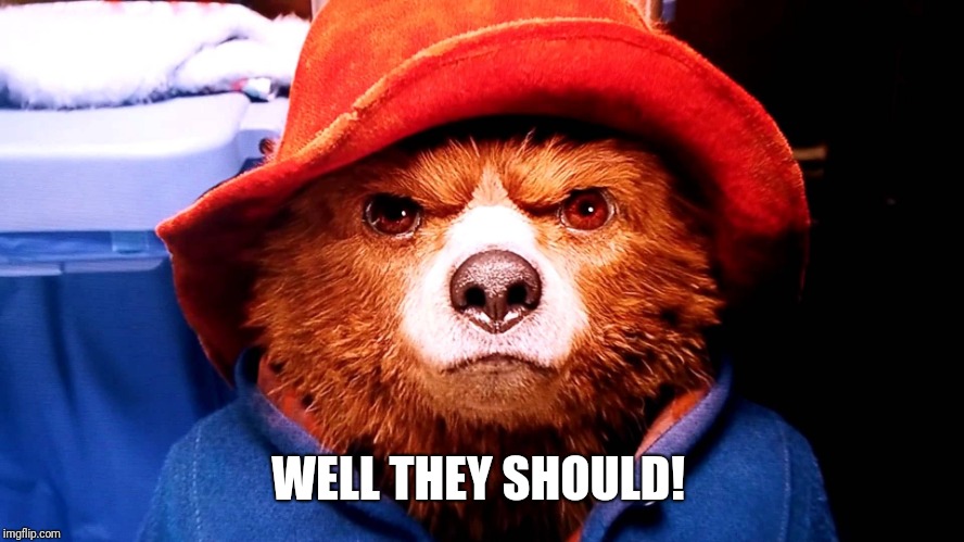 Paddington hard stare | WELL THEY SHOULD! | image tagged in paddington hard stare | made w/ Imgflip meme maker