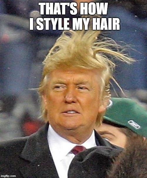 Donald Trumph hair | THAT'S HOW I STYLE MY HAIR | image tagged in donald trumph hair | made w/ Imgflip meme maker