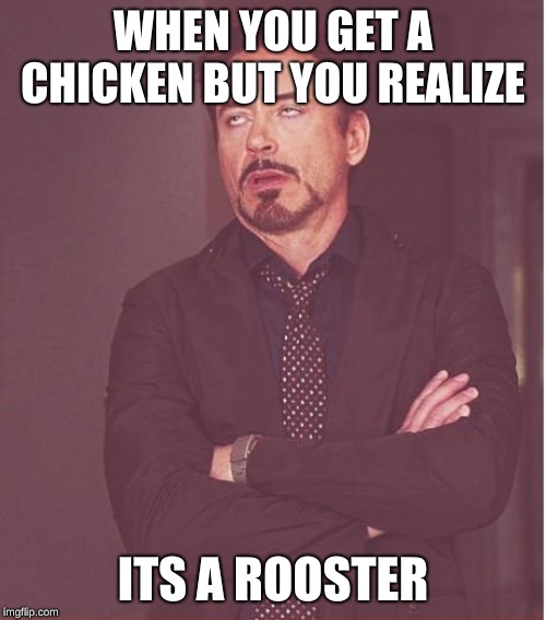 Face You Make Robert Downey Jr | WHEN YOU GET A CHICKEN BUT YOU REALIZE; ITS A ROOSTER | image tagged in memes,face you make robert downey jr | made w/ Imgflip meme maker