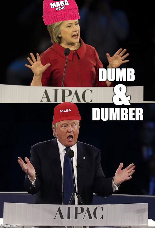 treason | DUMB; &; DUMBER | image tagged in hillary clinton,donald trump,israel | made w/ Imgflip meme maker