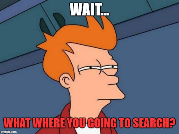 Futurama Fry Meme | WAIT... WHAT WHERE YOU GOING TO SEARCH? | image tagged in memes,futurama fry | made w/ Imgflip meme maker