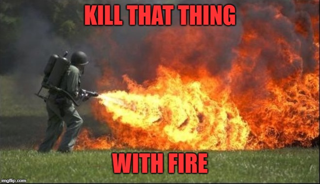 Kill it with fire | KILL THAT THING WITH FIRE | image tagged in kill it with fire | made w/ Imgflip meme maker