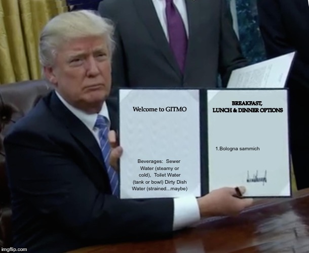 Trump Bill Signing | BREAKFAST, LUNCH & DINNER OPTIONS; Welcome to GITMO; Beverages:

Sewer Water (steamy or cold), 
Toilet Water (tank or bowl)
Dirty Dish Water (strained...maybe); 1.Bologna sammich | image tagged in memes,trump bill signing | made w/ Imgflip meme maker