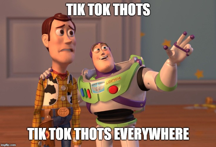 X, X Everywhere | TIK TOK THOTS; TIK TOK THOTS EVERYWHERE | image tagged in memes,x x everywhere | made w/ Imgflip meme maker