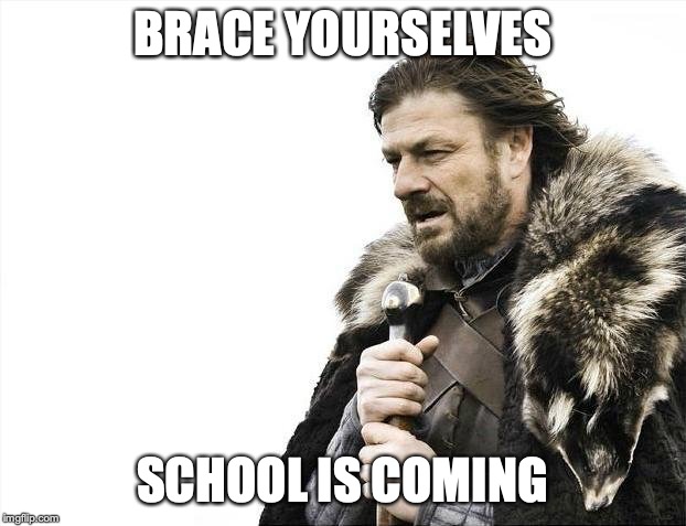 Brace Yourselves X is Coming | BRACE YOURSELVES; SCHOOL IS COMING | image tagged in memes,brace yourselves x is coming | made w/ Imgflip meme maker