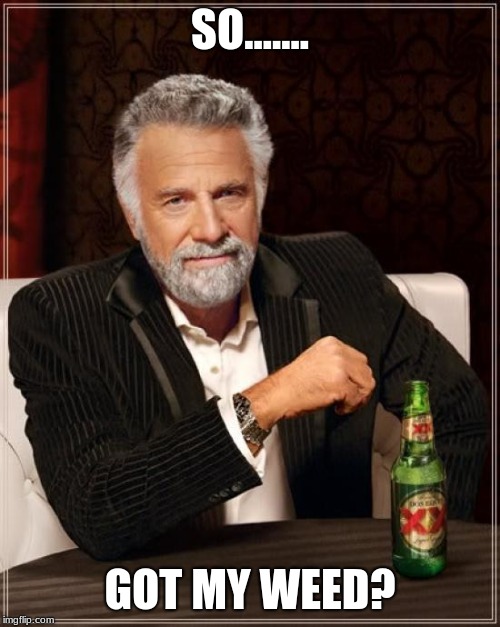 The Most Interesting Man In The World | SO....... GOT MY WEED? | image tagged in memes,the most interesting man in the world | made w/ Imgflip meme maker