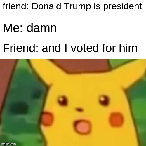 Surprised Pikachu Meme | friend: Donald Trump is president Me: damn Friend: and I voted for him | image tagged in memes,surprised pikachu | made w/ Imgflip meme maker